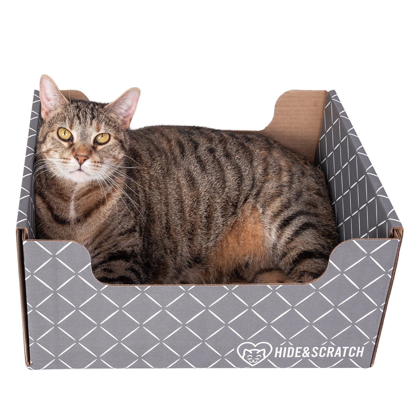 Hide & Scratch Extra-Large Cat Scratcher Box